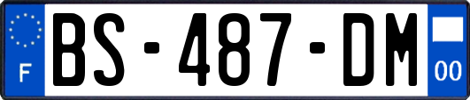 BS-487-DM