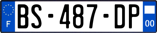 BS-487-DP