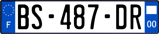 BS-487-DR