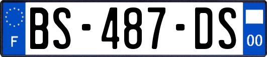 BS-487-DS