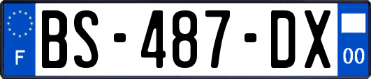 BS-487-DX