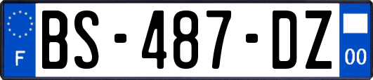 BS-487-DZ