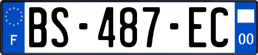 BS-487-EC