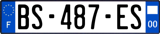 BS-487-ES