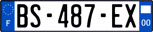 BS-487-EX