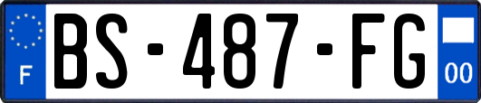 BS-487-FG