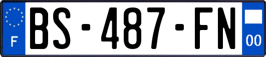 BS-487-FN