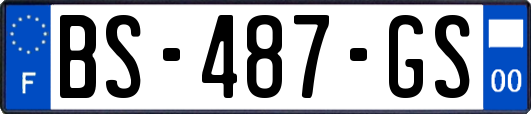 BS-487-GS