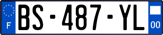 BS-487-YL