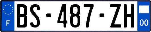 BS-487-ZH