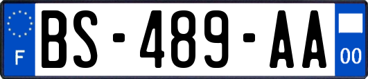 BS-489-AA
