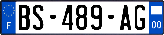BS-489-AG