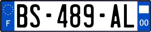 BS-489-AL