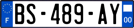 BS-489-AY