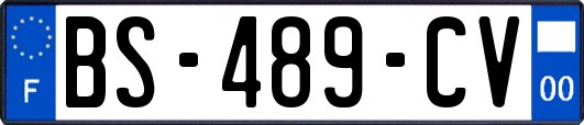 BS-489-CV