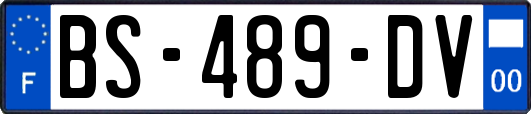 BS-489-DV