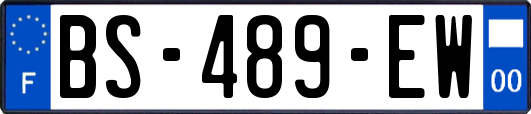 BS-489-EW