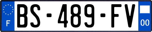 BS-489-FV