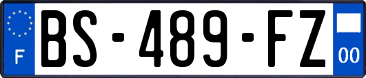 BS-489-FZ