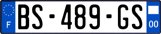 BS-489-GS