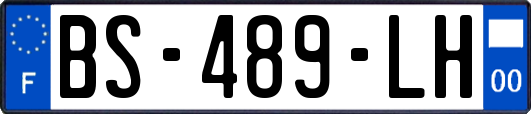 BS-489-LH