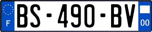 BS-490-BV