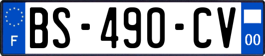 BS-490-CV