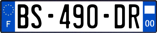 BS-490-DR