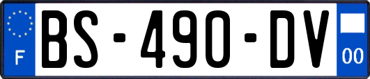 BS-490-DV