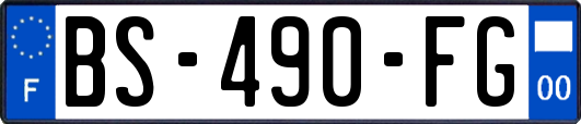 BS-490-FG