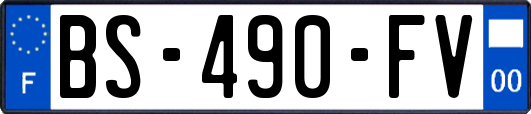 BS-490-FV
