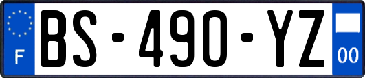 BS-490-YZ