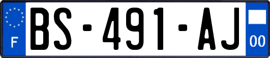 BS-491-AJ
