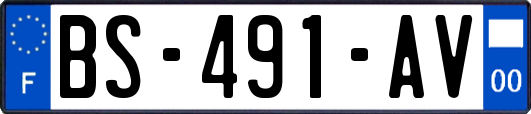 BS-491-AV