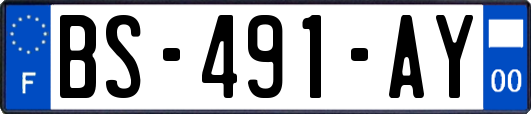 BS-491-AY