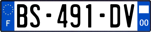 BS-491-DV