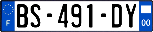 BS-491-DY