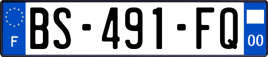 BS-491-FQ
