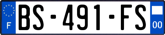 BS-491-FS