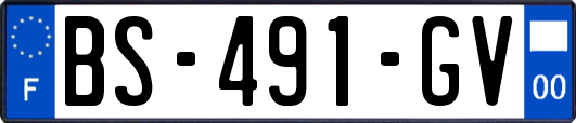 BS-491-GV