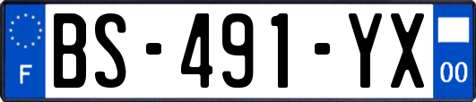 BS-491-YX