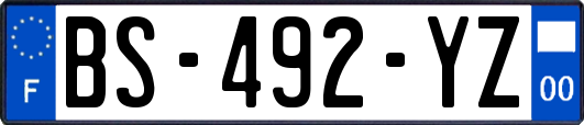 BS-492-YZ