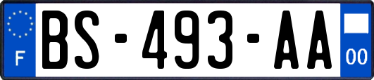 BS-493-AA