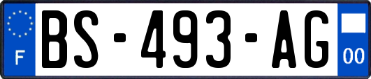 BS-493-AG