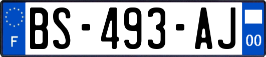 BS-493-AJ