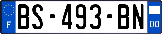 BS-493-BN