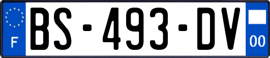 BS-493-DV