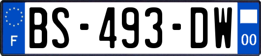 BS-493-DW