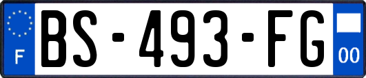 BS-493-FG