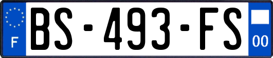 BS-493-FS